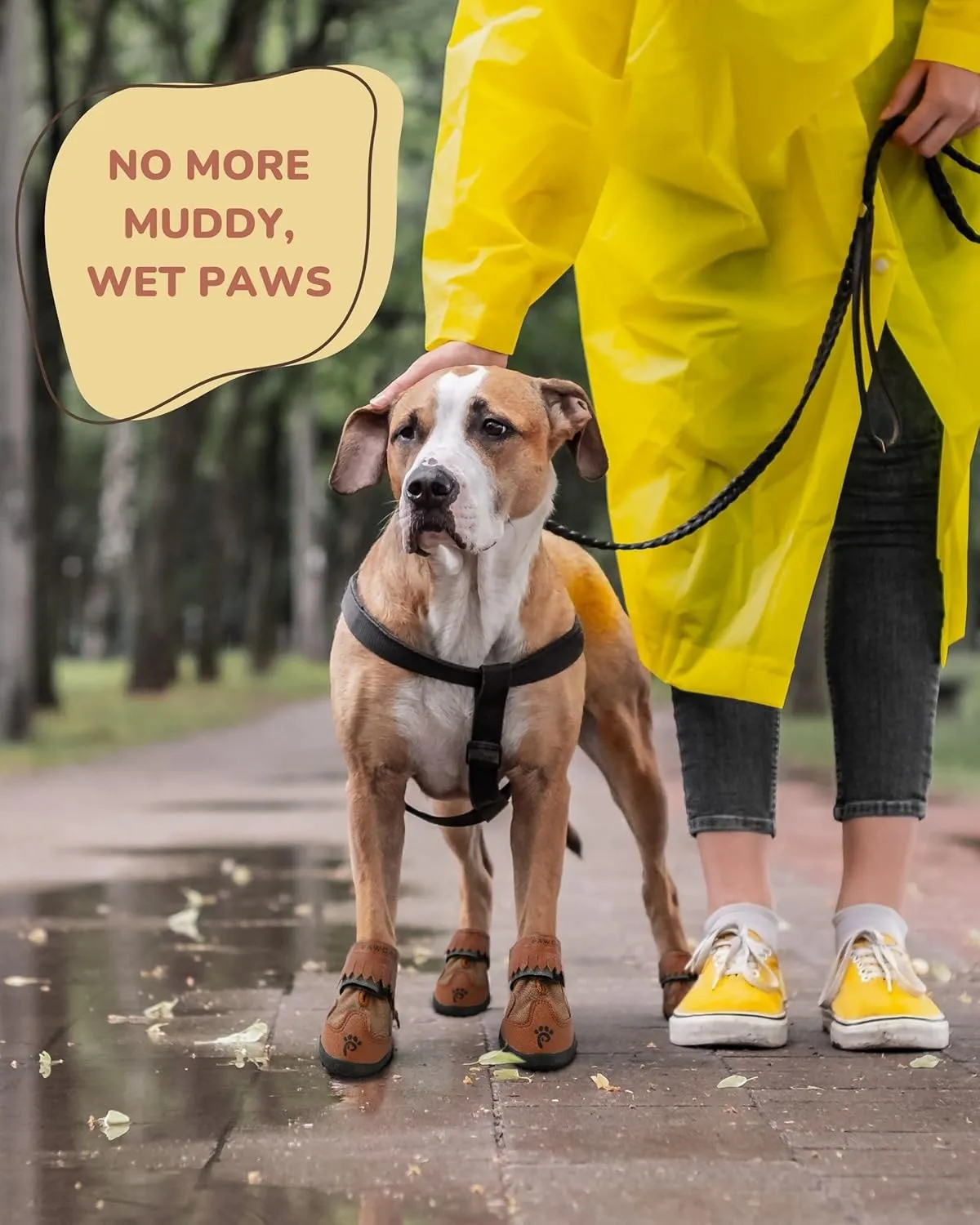 Dog Boots & Booties - All-Weather Protection for Small, Medium & Large Dogs, Size 4