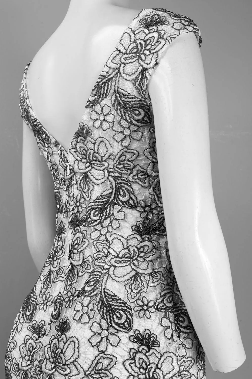 Monique Lhuillier Cap Sleeve Embroidered Dress