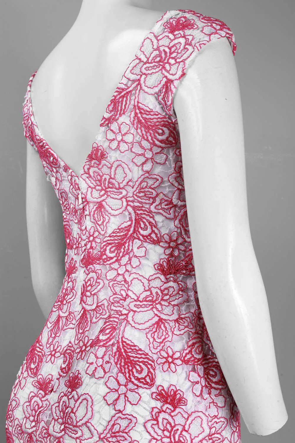 Monique Lhuillier Cap Sleeve Embroidered Dress